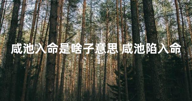 咸池入命是啥子意思 咸池陷入命